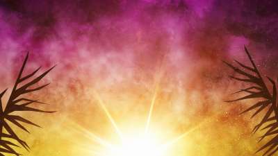 Bright Palm Sunday 02