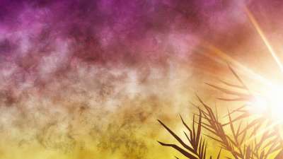 Bright Palm Sunday 03