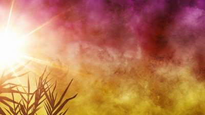 Bright Palm Sunday 05