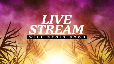 Bright Palm Sunday Live Stream