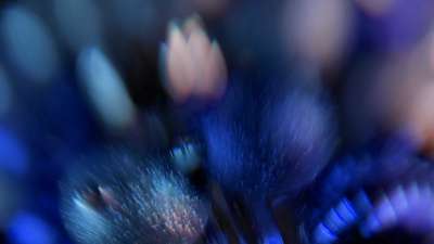 Christmas Ornamental 10