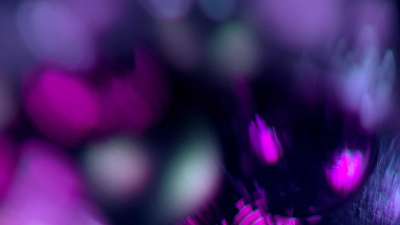 Christmas Ornamental 13