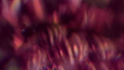 Christmas Ornamental 17