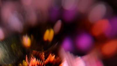 Christmas Ornamental 19