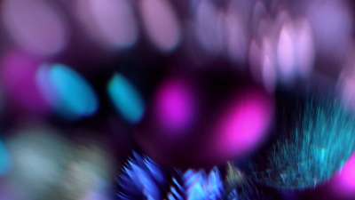 Christmas Ornamental 5