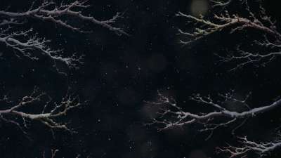 Christmas Wintertide 14