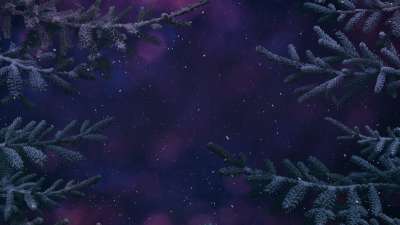 Christmas Wintertide 2