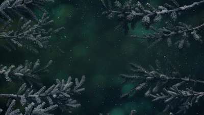 Christmas Wintertide 5