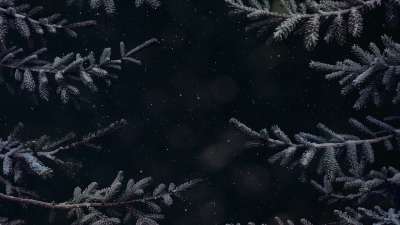 Christmas Wintertide 7