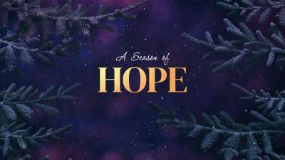 Christmas Wintertide Hope