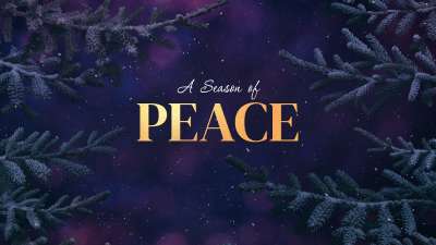 Christmas Wintertide Peace