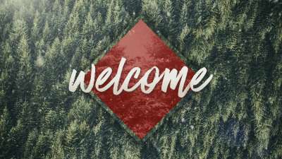 Christmas Forest Welcome