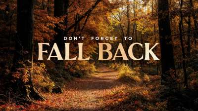 Forest Fall Fall Back