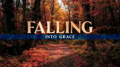 Forest Fall Falling Into Grace