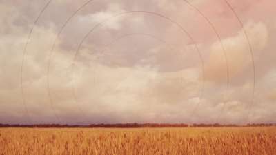 Golden Hour Field Radial