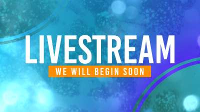 Gradient Shapes Livestream