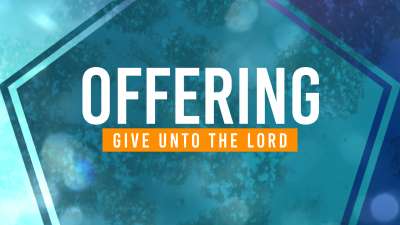 Gradient Shapes Offering