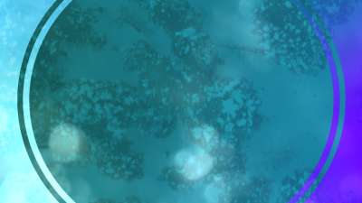 Gradient Shapes Motion 02