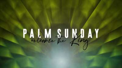 Illuminate Palm Sunday