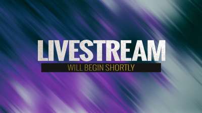 In The Winter Livestream