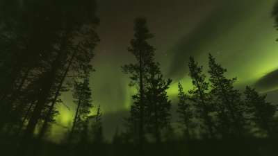 Journey To The Nativity: Aurora