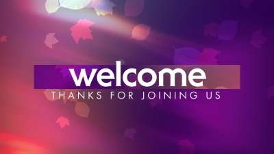 Light Leaves Welcome