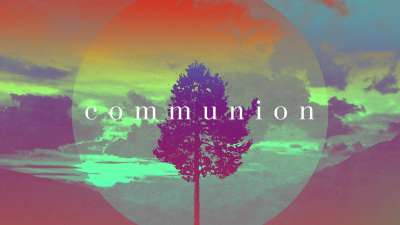 Lonely Tree Communion