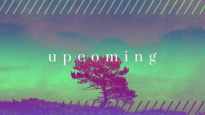 Lonely Tree Upcoming