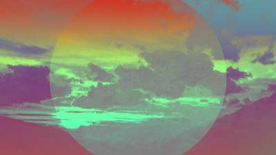 Lonely Tree Vista Blank