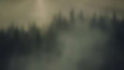 Lumberjack Dad Dusk Alt