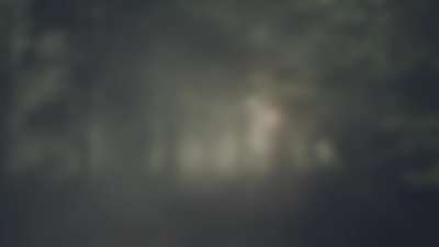 Lumberjack Dad Foggy Alt