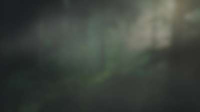 Lumberjack Dad Rays Alt