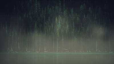 Lumberjack Dad Shoreline