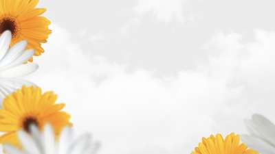 Mother's Day Flowers 01