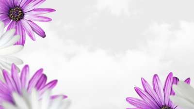 Mother's Day Flowers 03