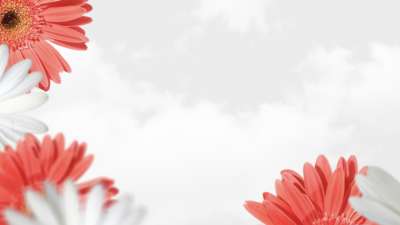 Mother's Day Flowers 05