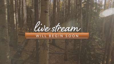 Mountain Hike Live Stream