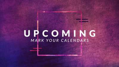 Muted Colors Upcoming