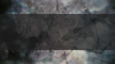 Muted Spring Bloom Box