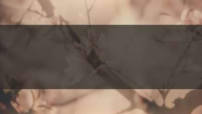 Muted Spring Blush Box