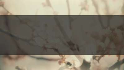 Muted Spring Branch Box