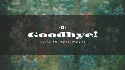 Muted Spring Exit Stream