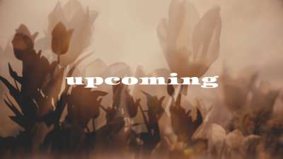 Muted Spring Upcoming