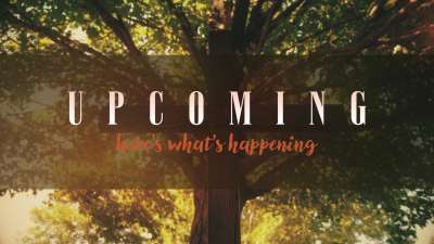 Nature Cross Upcoming