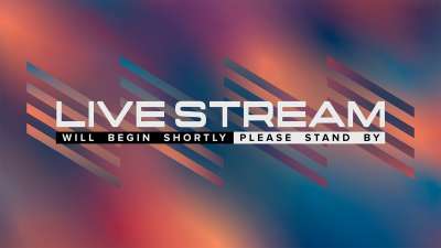 Neon Summer Live Stream