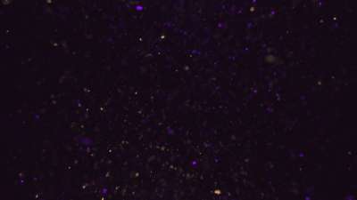 New Years Glitter 03