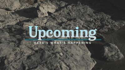 Northern Shores Upcoming