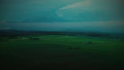 Open Fields Moody Green