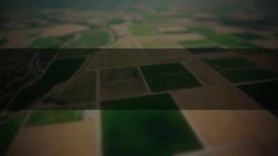 Open Fields Patchwork Box