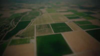 Open Fields Patchwork